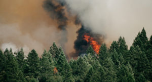 Weather Prediction and Disaster Management Using GIS