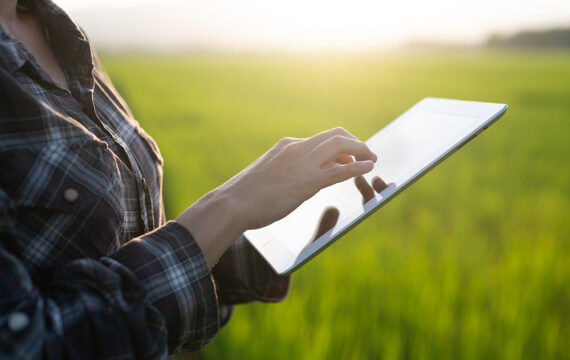 Crop Management Software for Sustainable Farming