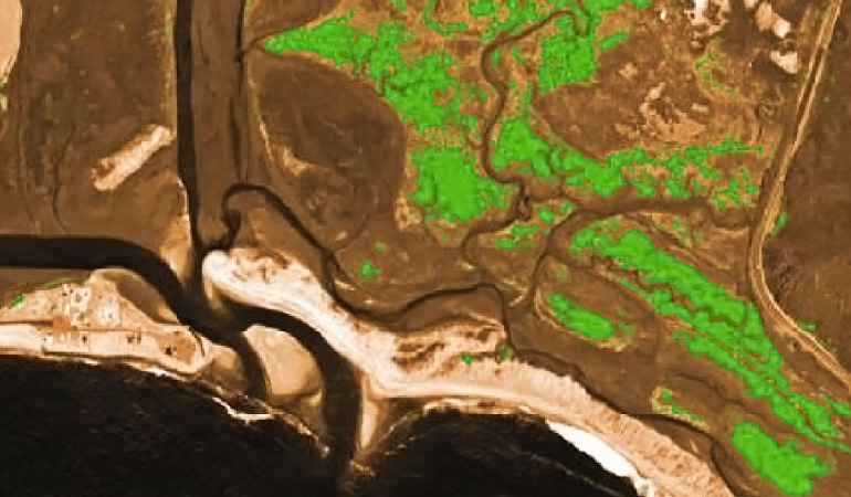 How Does Precision Mapping Empower Agribusinesses to Flourish?