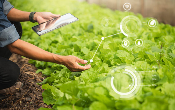 Unified Farm Management System to Boost Production and Profitability