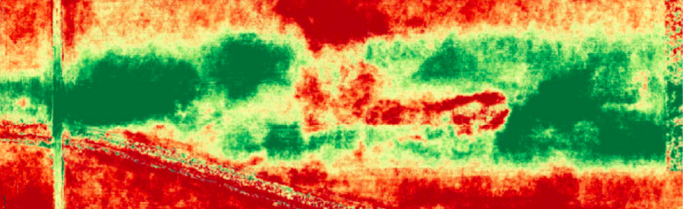 How to Interpret Agricultural Drone Data for Crop Management Decisions