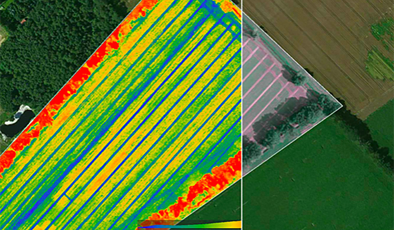 How to Interpret Agricultural Drone Data for Crop Management Decisions