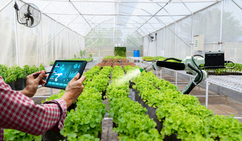 Automated Greenhouse System With Profound Analytics Intellias