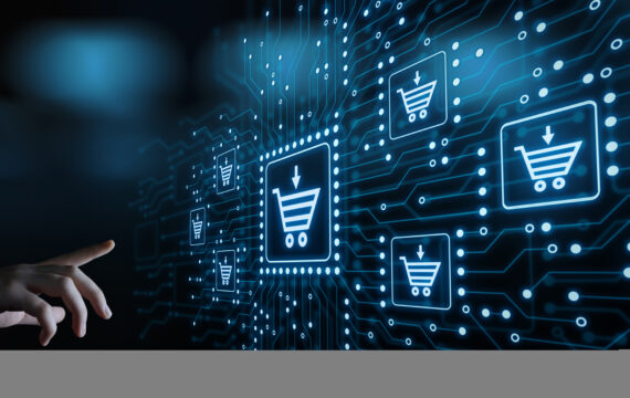 IT Auditing & Consulting for a Top Online Retailer