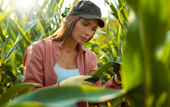 Combatting Invasive Pests with Next-Gen Insect Control Technology