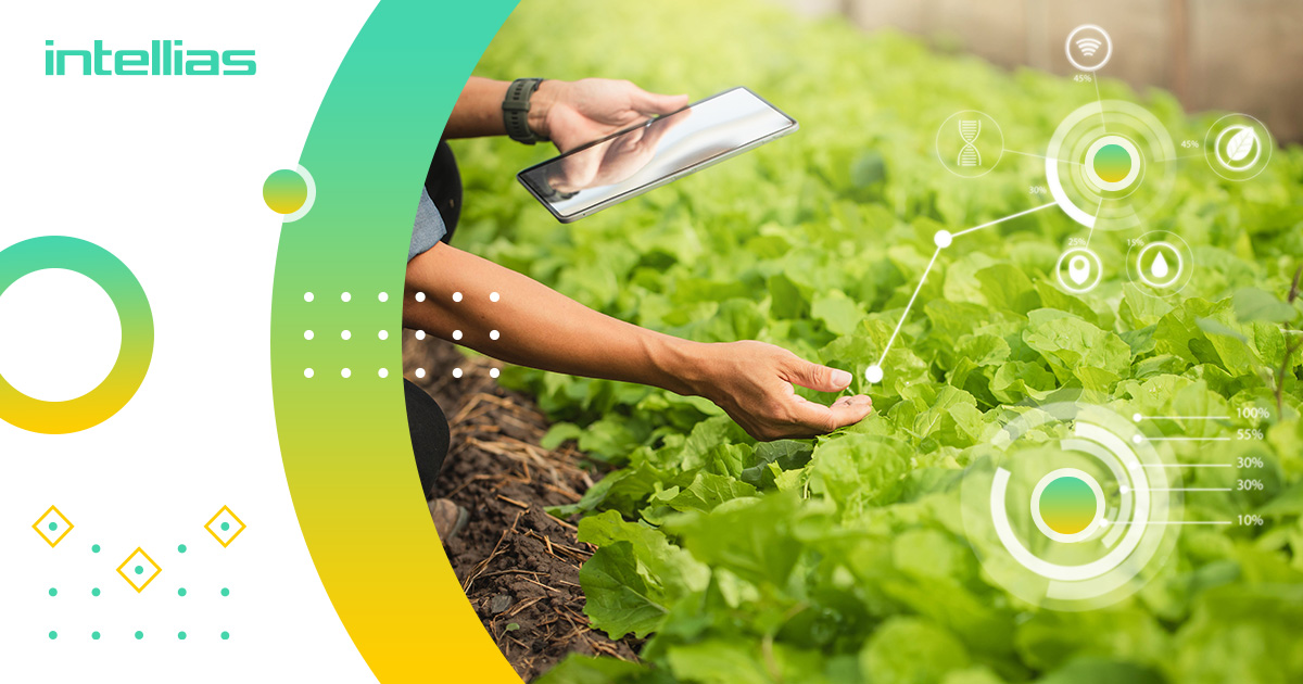 Agricultural Land Management Impacts Crop Yields Intellias