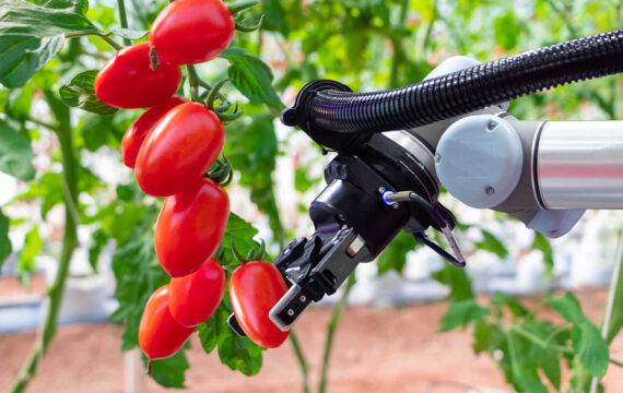 Using Machine Learning in Agriculture to Unlock New Efficiencies and Maximize Crop Yields