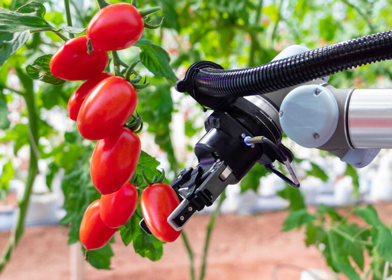 Using Machine Learning in Agriculture to Unlock New Efficiencies and Maximize Crop Yields