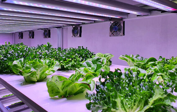 Smart Farming: What Is the Future of Sustainable Agriculture?