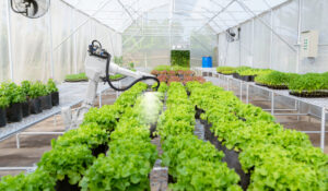 Automated Vertical Farming Using Arduino Vertical Farming Technology to Maximize Yields