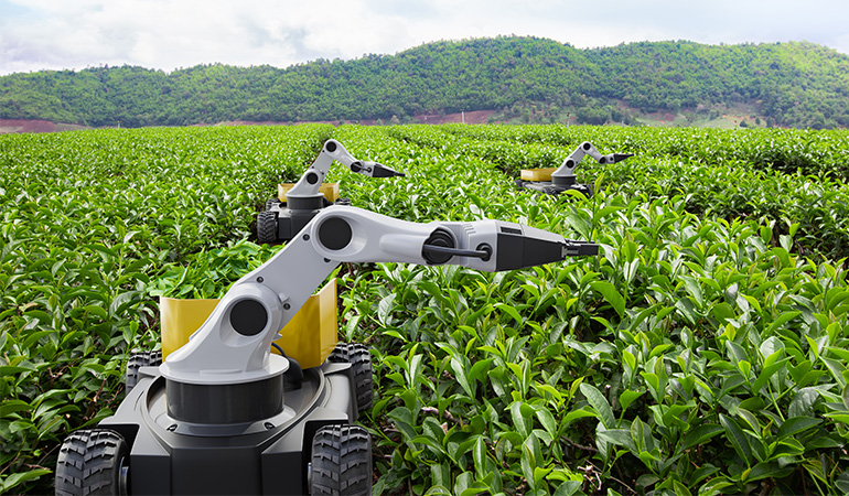 Automation Helps Solve Specialty Crop Challenges