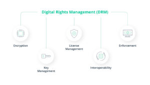 Media Supply Chain: Complete Guide | Intellias