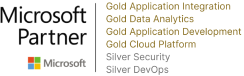 Microsoft partner