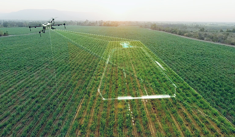 Computer vision in agriculture 