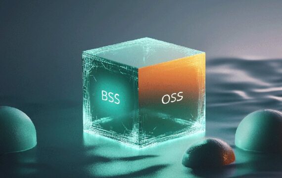 A Holistic Approach to Telecom OSS/BSS Project Success